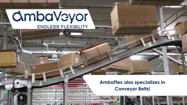 AmbaFlex enhancing Airport Baggage systems