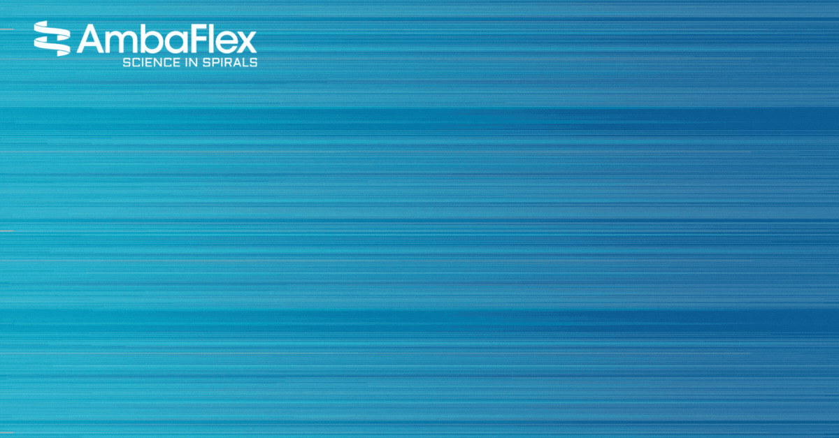 AmbaFlex enhancing Airport Baggage systems