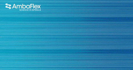 AmbaFlex enhancing Airport Baggage systems